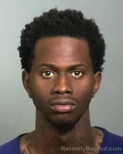 Mugshot of PATRION LATRELL LAVENDER