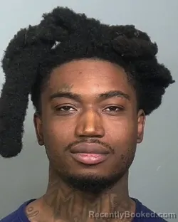 Mugshot of ROBERT REESE LYONS