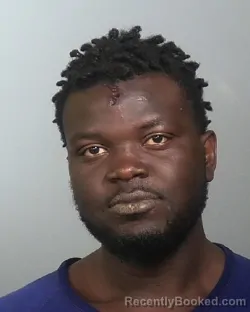 Mugshot of BERNALDO LUCIANO MAXIME booked in Manatee County, Florida on March 24, 2026