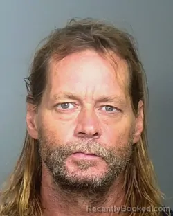 Mugshot of BRIAN ROBERT MCNETT