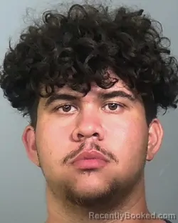 Mugshot of ELIAS MUNIZ booked in Manatee County, Florida on March 12, 2026