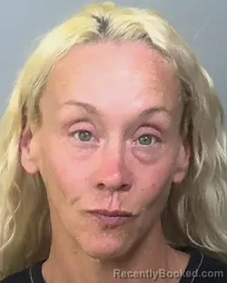 Mugshot of HOLLY ANN MCQUISTON booked in Manatee County, Florida on April 4, 2026