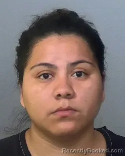Mugshot of ITZA YOJANI MARTINEZ OLIVA booked in Manatee County, Florida on May 4, 2026