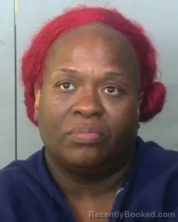 Mugshot of JOYCE FAY MIDDLETON booked in Manatee County, Florida on March 22, 2026