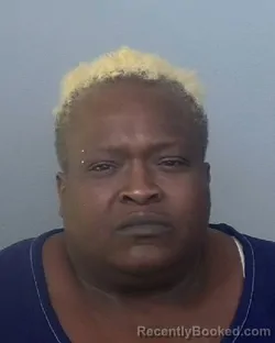 Mugshot of JOYCETINA LAVETTE MABRY booked in Manatee County, Florida on March 24, 2026