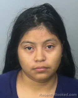 Mugshot of KELI J MEJIA BRAVO booked in Manatee County, Florida on March 27, 2026