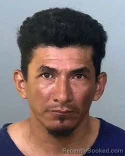 Mugshot of LORVIN MORENO OSORIO booked in Manatee County, Florida on May 20, 2026