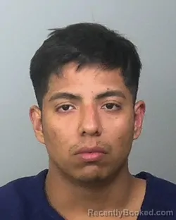 Mugshot of LEVIN U MORALES MOLINA booked in Manatee County, Florida on April 1, 2026