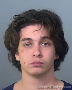 Mugshot of MATTHEW GABRIEL MCCLANAHAN booked in Manatee County, Florida on March 16, 2026