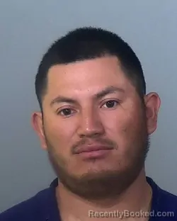 Mugshot of NERY ANDALECIO MAZARIEGOS GALVEZ booked in Manatee County, Florida on March 6, 2026