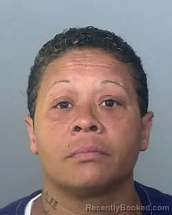 Mugshot of NICOLE ELIZABETH MEYERS booked in Manatee County, Florida on March 31, 2026