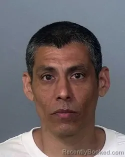 Mugshot of NICKOLAS MASIAS booked in Manatee County, Florida on March 31, 2026