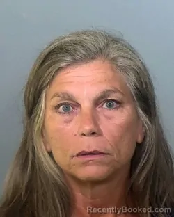 Mugshot of PHYLLIS ANN MESICH booked in Manatee County, Florida on March 29, 2026