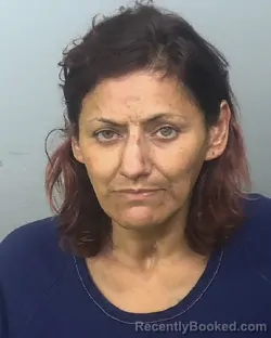 Mugshot of SANDY MARTINEZ