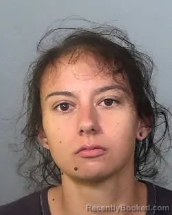 Mugshot of SIERRA LYNN MORAND