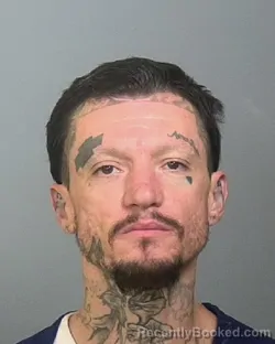 Mugshot of TRAVIS A MELTON booked in Manatee County, Florida on April 23, 2026