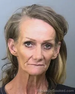 Mugshot of TERESA LYNN MCCORMICK booked in Manatee County, Florida on May 10, 2026