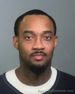 Mugshot of WILLIAM LAGRANT MCKNIGHT booked in Manatee County, Florida on March 24, 2026