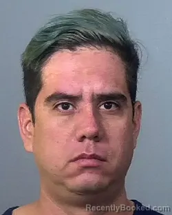 Booking photo from Manatee County, Florida