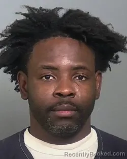 Mugshot of WESLEY VALENTIN MICHEL