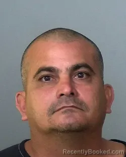 Mugshot of ADDEMYS NAPOLES RIVAS booked in Manatee County, Florida on April 1, 2026