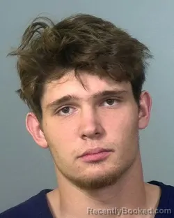 Mugshot of AUSTIN SHAMUS NEWMAN