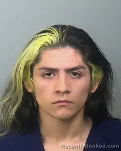 Mugshot of ANGEL SEVESTIA NAJERA booked in Manatee County, Florida on March 26, 2026