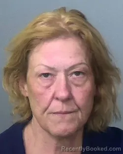 Mugshot of CHERYL LYNN NELSON booked in Manatee County, Florida on May 9, 2026