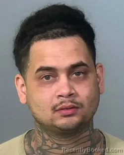 Mugshot of JASON ANTHONY NEGRON booked in Manatee County, Florida on March 6, 2026