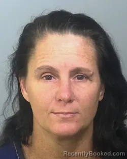 Mugshot of KRYSTAL MARIE NIMONS