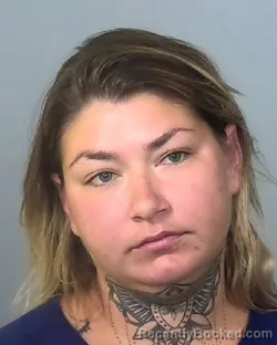 Mugshot of LOGAN ALYSSA NOLETTE booked in Manatee County, Florida on March 25, 2026