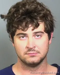 Mugshot of ROBERT WILLIAM NICHOLSON