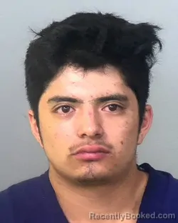 Mugshot of CRISTHOFER JOEL OCHOA OLVERA booked in Manatee County, Florida on March 13, 2026