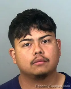Mugshot of JAVIER OCHOA