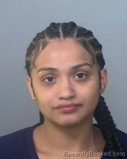 Mugshot of ALISA ADELILA PALACIOS booked in Manatee County, Florida on March 21, 2026