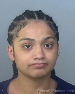 Mugshot of ALISA ADELIA PALACIOS booked in Manatee County, Florida on March 24, 2026