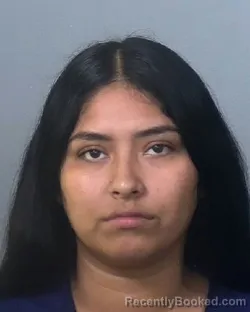 Mugshot of ALLISON ELIZABETH PACHECO-GUEVARA booked in Manatee County, Florida on May 17, 2026