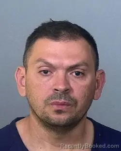 Mugshot of ANTONIO PEREIRA ALVES booked in Manatee County, Florida on May 12, 2026