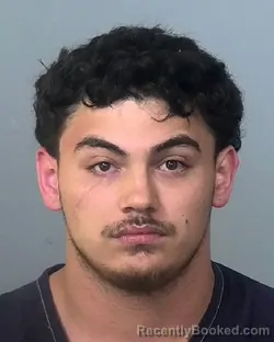 Mugshot of ELY J PIZARRO booked in Manatee County, Florida on March 22, 2026