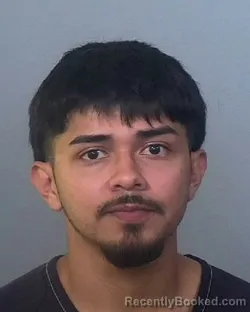 Mugshot of HUMBERTO PINEDA booked in Manatee County, Florida on March 19, 2026