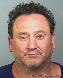 Mugshot of MICHAEL ANTHONY PANARELLA booked in Manatee County, Florida on March 19, 2026