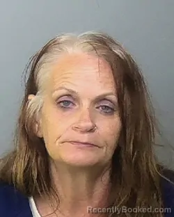 Mugshot of MELISSA FRANCES PRESLEY booked in Manatee County, Florida on April 2, 2026