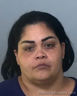 Mugshot of NAYADETH PEREZ ORTIZ booked in Manatee County, Florida on May 1, 2026