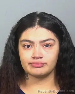 Mugshot of PRISILLA PALACIOS