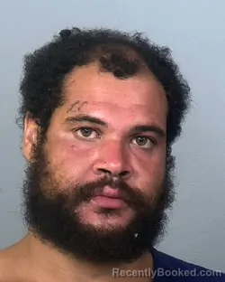 Mugshot of RYAN RAMOS PERALTA booked in Manatee County, Florida on May 17, 2026