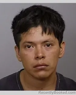 Mugshot of WILTON CLENTON POL CHAN