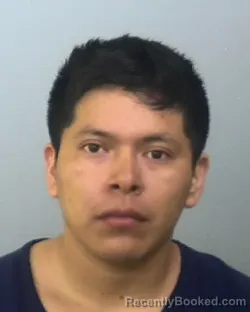 Mugshot of WILTON CLENTON POL CHAN booked in Manatee County, Florida on March 16, 2026