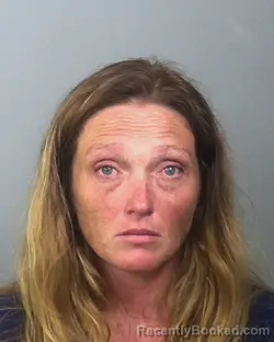 Mugshot of AMANDA REGETS booked in Manatee County, Florida on March 25, 2026