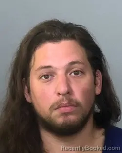 Mugshot of ANTHONY JAMES RAVA booked in Manatee County, Florida on May 15, 2026