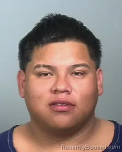Mugshot of ARNULFO REYES
